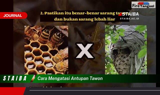 Ketahui Cara Mengatasi Antupan Tawon dengan Aman dan Efektif Ketahui Cara Mengatasi Antupan Tawon dengan Aman dan Efektif