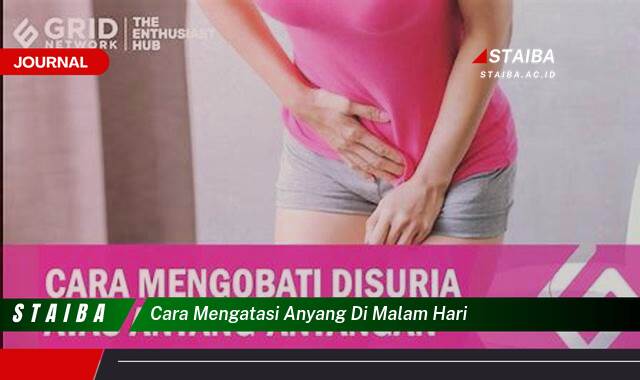 Ketahui Cara Mengatasi Anyang,Anyangan yang Mengganggu di Malam Hari