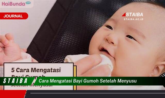 Ketahui Cara Mengatasi Bayi Gumoh Setelah Menyusu Secara Efektif dan Aman