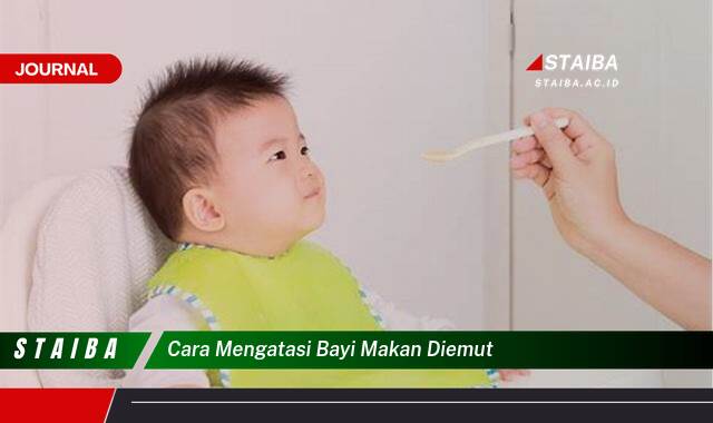 Ketahui Cara Mengatasi Bayi Makan Diemut, Tips dan Trik Ampuh Ketahui Cara Mengatasi Bayi Makan Diemut, Tips dan Trik Ampuh