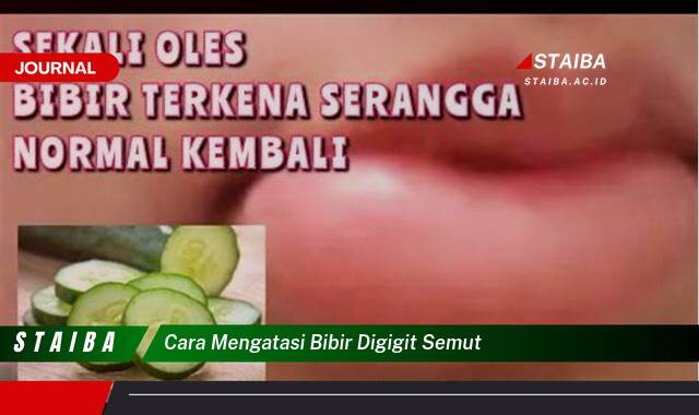 Ketahui Cara Mengatasi Bibir Digigit Semut dengan Cepat dan Alami