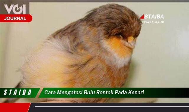Ketahui Cara Mengatasi Bulu Rontok pada Kenari Secara Efektif dan Alami