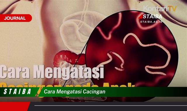 Ketahui Cara Mengatasi Cacingan, Gejala, Penyebab, dan Pengobatan Efektif Ketahui Cara Mengatasi Cacingan, Gejala, Penyebab, dan Pengobatan Efektif