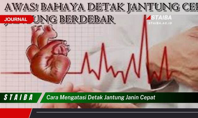Ketahui Cara Mengatasi Detak Jantung Janin Cepat dan Menjaga Kesehatan Kehamilan Ketahui Cara Mengatasi Detak Jantung Janin Cepat dan Menjaga Kesehatan Kehamilan