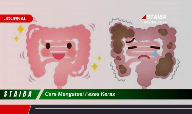 Ketahui Cara Mengatasi Feses Keras Secara Alami dan Efektif