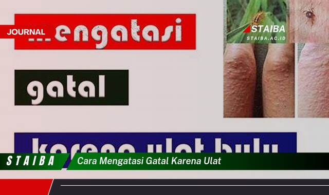 Ketahui Cara Mengatasi Gatal Karena Ulat Bulu Dengan Cepat dan Ampuh