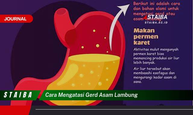 Ketahui Cara Mengatasi GERD Asam Lambung Secara Alami dan Efektif