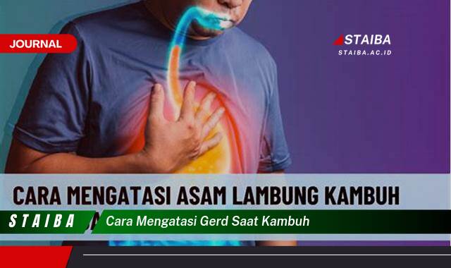Ketahui Cara Mengatasi GERD Saat Kambuh dengan Cepat dan Efektif