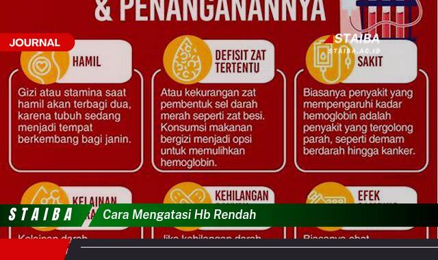 Ketahui Cara Mengatasi HB Rendah Dengan Cepat dan Efektif