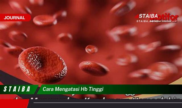 Ketahui Cara Mengatasi Hb Tinggi Secara Alami dan Efektif