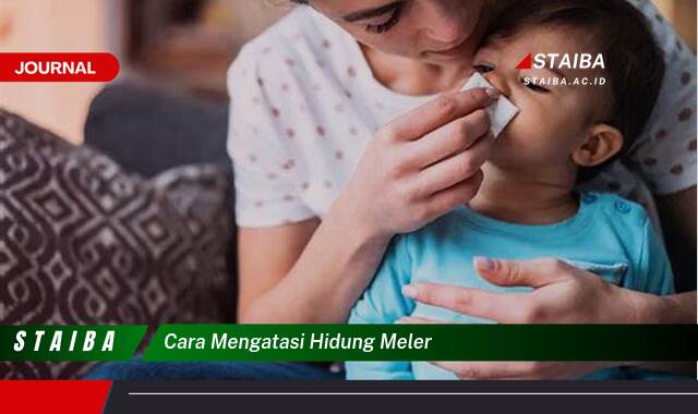 Ketahui Cara Mengatasi Hidung Meler dengan Cepat dan Alami