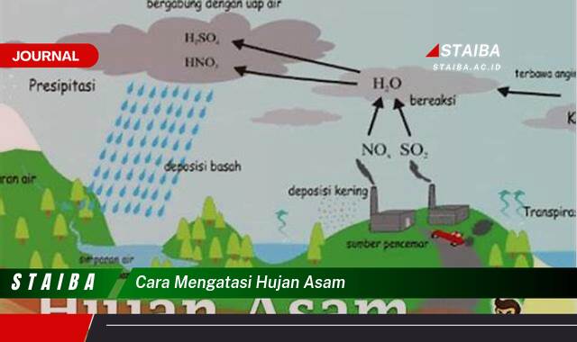 Temukan Cara Mengatasi Hujan Asam dan Dampak Negatifnya bagi Lingkungan Temukan Cara Mengatasi Hujan Asam dan Dampak Negatifnya bagi Lingkungan