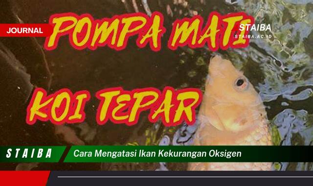 Ketahui Cara Mengatasi Ikan Kekurangan Oksigen dengan Cepat dan Efektif Ketahui Cara Mengatasi Ikan Kekurangan Oksigen dengan Cepat dan Efektif