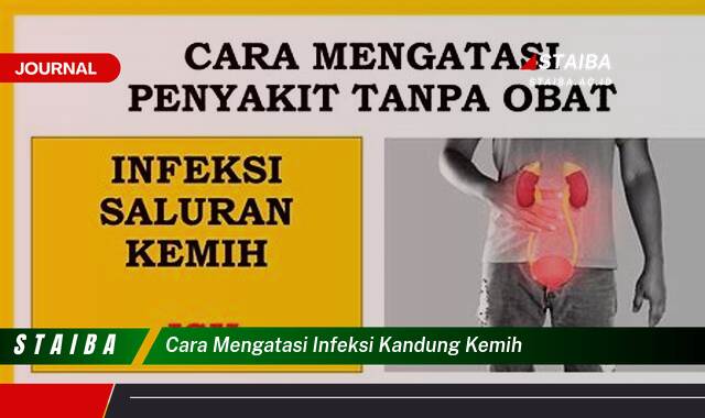 Ketahui Cara Mengatasi Infeksi Kandung Kemih dengan Cepat dan Alami
