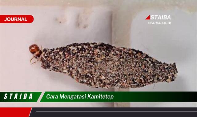 Ketahui Cara Mengatasi Kamitetep, Panduan Lengkap dan Praktis