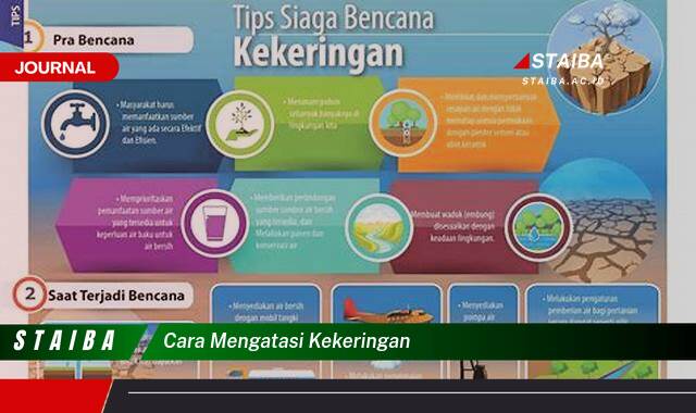 Ketahui Cara Mengatasi Kekeringan, Tips Praktis & Efektif untuk Rumah dan Lahan Ketahui Cara Mengatasi Kekeringan, Tips Praktis & Efektif untuk Rumah dan Lahan