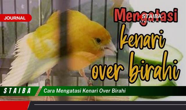 Ketahui Cara Mengatasi Kenari Over Birahi Secara Efektif dan Alami