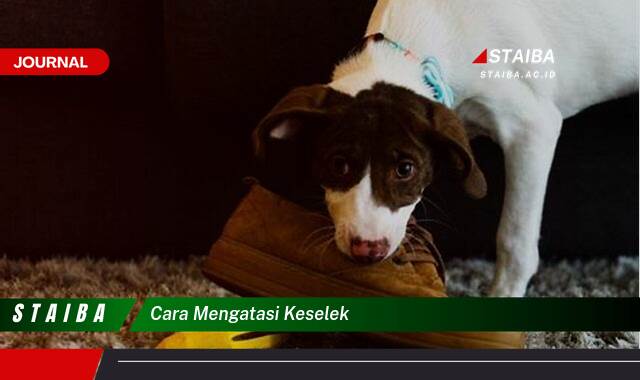 Ketahui Cara Mengatasi Keselek dengan Cepat dan Mudah Ketahui Cara Mengatasi Keselek dengan Cepat dan Mudah