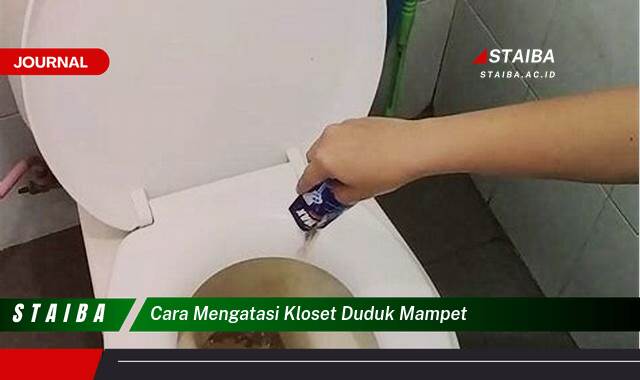 Ketahui Cara Mengatasi Kloset Duduk Mampet dengan Mudah dan Efektif