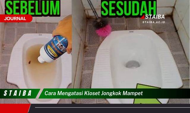 Ketahui Cara Mengatasi Kloset Jongkok Mampet dengan Cepat dan Mudah