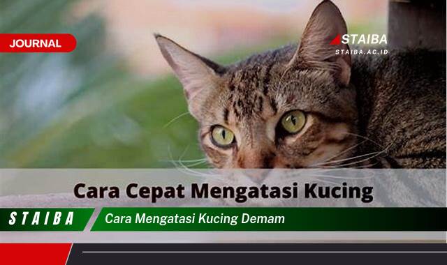 Ketahui Cara Mengatasi Kucing Demam Secara Efektif di Rumah Ketahui Cara Mengatasi Kucing Demam Secara Efektif di Rumah