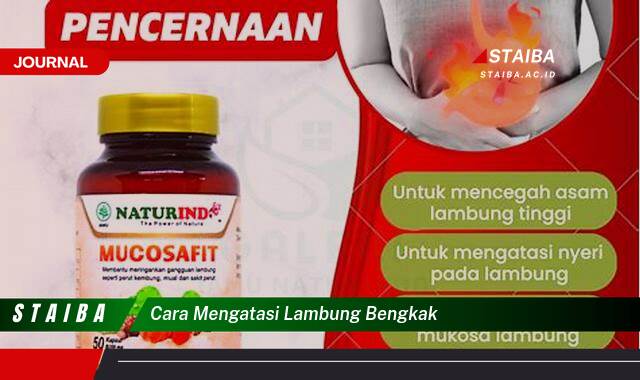 Ketahui Cara Mengatasi Lambung Bengkak Secara Alami dan Efektif