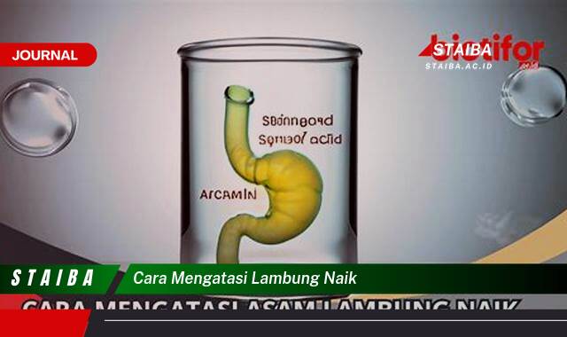 Ketahui Cara Mengatasi Lambung Naik dengan Cepat dan Alami