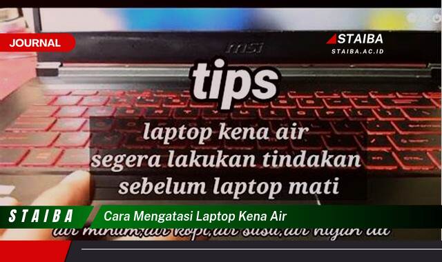 Ketahui Cara Mengatasi Laptop Kena Air, Panduan Lengkap dan Mudah