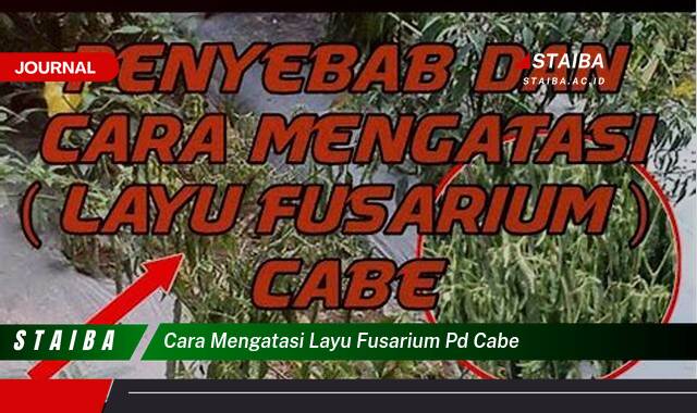 Ketahui Cara Mengatasi Layu Fusarium pada Tanaman Cabe Secara Efektif dan Alami Ketahui Cara Mengatasi Layu Fusarium pada Tanaman Cabe Secara Efektif dan Alami