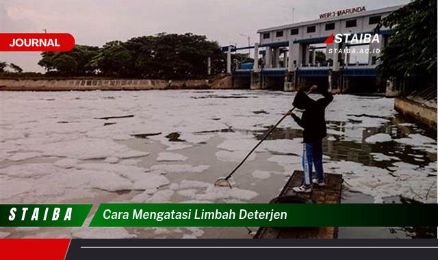 Ketahui Cara Mengatasi Limbah Deterjen Rumah Tangga Secara Efektif dan Ramah Lingkungan Ketahui Cara Mengatasi Limbah Deterjen Rumah Tangga Secara Efektif dan Ramah Lingkungan