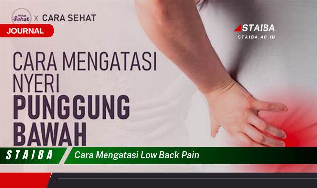 Temukan Cara Mengatasi Low Back Pain Secara Efektif dan Alami