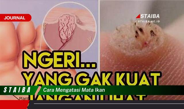 Ketahui Cara Mengatasi Mata Ikan dengan Cepat dan Efektif