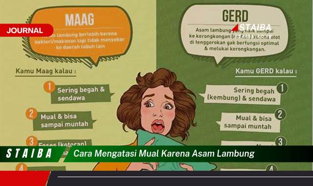 Ketahui Cara Mengatasi Mual Karena Asam Lambung Dengan Cepat dan Alami