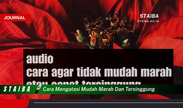 Ketahui Cara Mengatasi Mudah Marah dan Tersinggung Secara Efektif