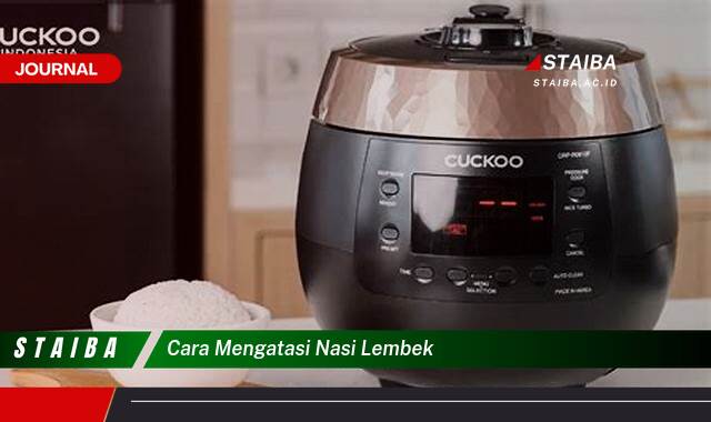 Ketahui Cara Mengatasi Nasi Lembek dan Menyelamatkannya Menjadi Hidangan Lezat