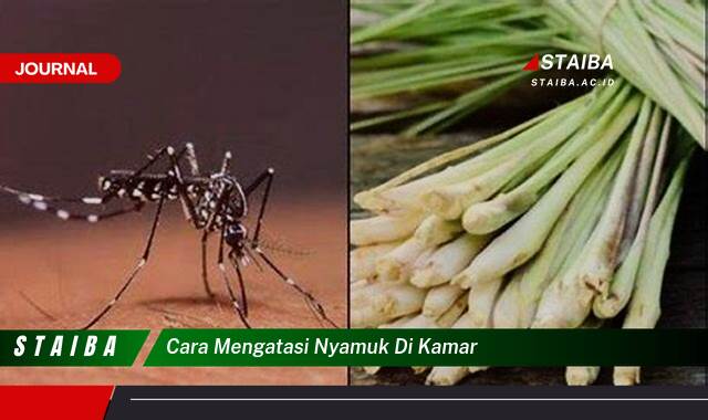 Ketahui Cara Mengatasi Nyamuk di Kamar Tidur Secara Ampuh dan Alami