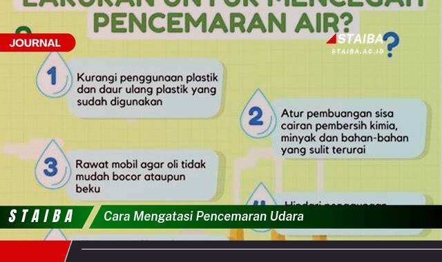 Langkah demi langkah, Cara Mengatasi Pencemaran Udara di Rumah dan Lingkungan Sekitar Anda
