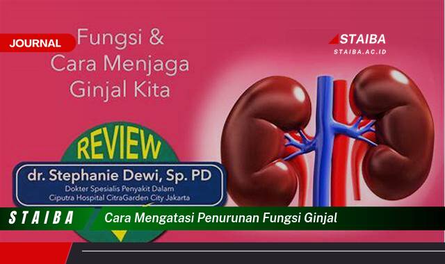 Ketahui Cara Mencegah dan Mengatasi Penurunan Fungsi Ginjal Secara Alami dan Medis
