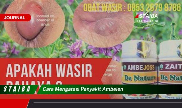 Ketahui Cara Mengatasi Penyakit Ambeien Secara Alami dan Efektif Ketahui Cara Mengatasi Penyakit Ambeien Secara Alami dan Efektif