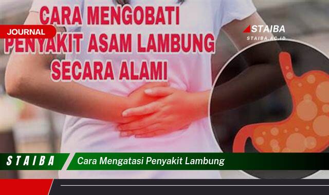 Ketahui Cara Mengatasi Penyakit Lambung Secara Alami dan Efektif Ketahui Cara Mengatasi Penyakit Lambung Secara Alami dan Efektif