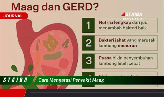 Ketahui Cara Mengatasi Penyakit Maag dengan Cepat dan Alami