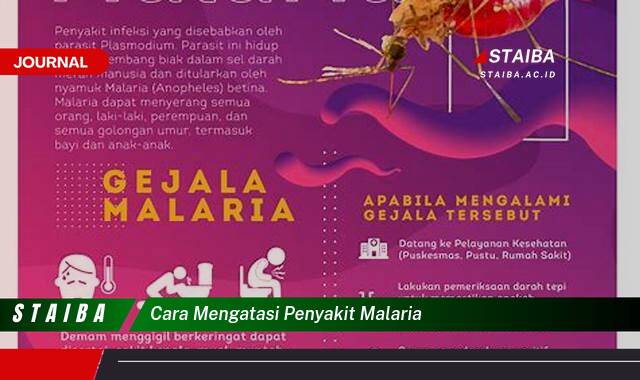 Ketahui Cara Mengatasi Penyakit Malaria, Panduan Lengkap Pencegahan dan Pengobatan