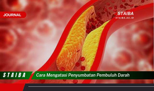 Ketahui Cara Mengatasi Penyumbatan Pembuluh Darah Secara Alami dan Medis