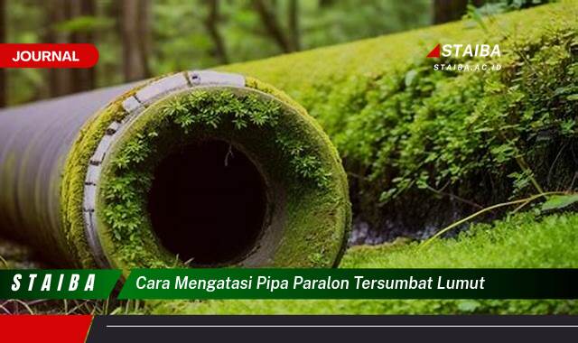 Ketahui Cara Mengatasi Pipa Paralon Tersumbat Lumut dengan Cepat dan Efektif Ketahui Cara Mengatasi Pipa Paralon Tersumbat Lumut dengan Cepat dan Efektif