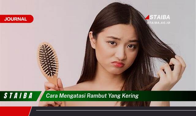 Temukan Cara Mengatasi Rambut Kering dan Mengembalikan Kelembapannya Secara Alami