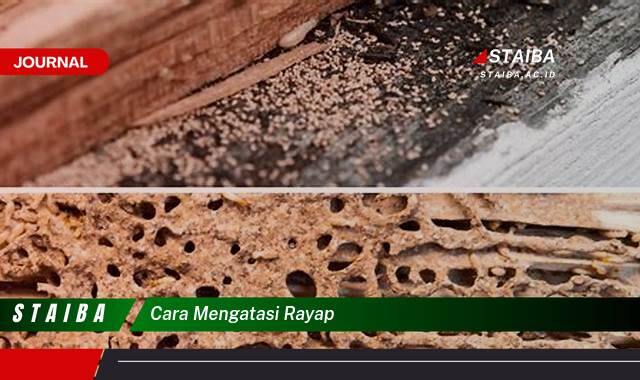 Ketahui Cara Mengatasi Rayap di Rumah Secara Efektif dan Ampuh