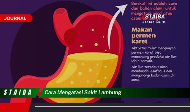 Ketahui Cara Mengatasi Sakit Lambung dengan Cepat dan Alami