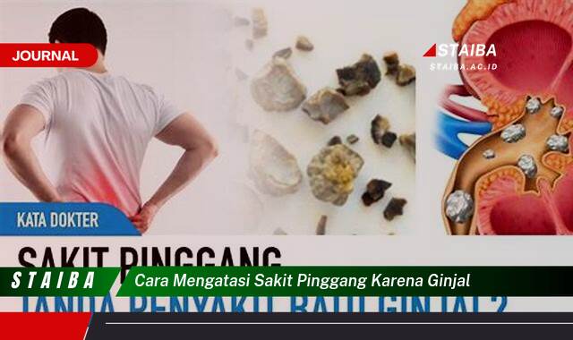 Ketahui Cara Mengatasi Sakit Pinggang Karena Ginjal Secara Efektif