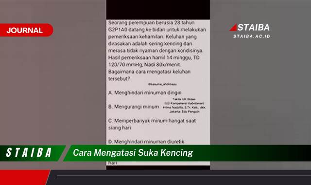Ketahui Cara Mengatasi Sering Kencing, Penyebab dan Solusinya