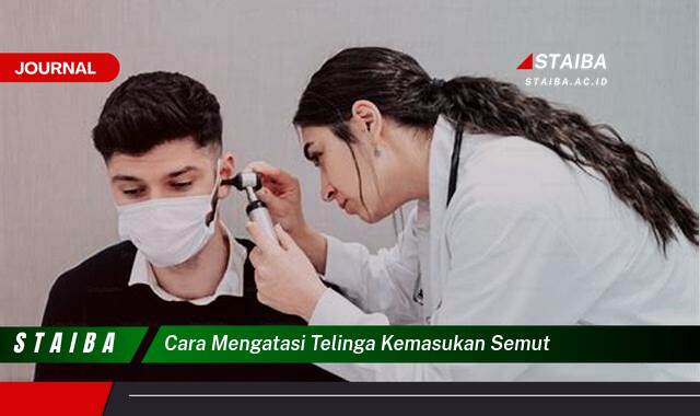 Ketahui Cara Mengatasi Telinga Kemasukan Semut dengan Cepat dan Aman Ketahui Cara Mengatasi Telinga Kemasukan Semut dengan Cepat dan Aman